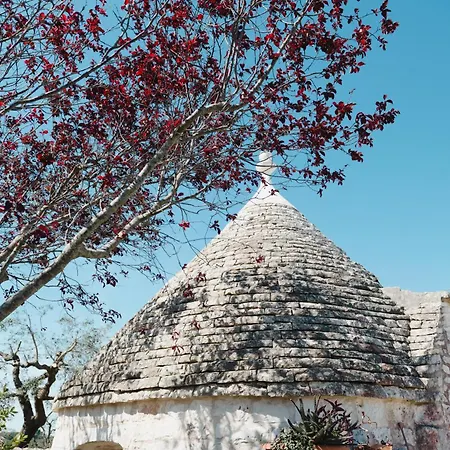 Casa vacanze Trullo Malvischi - Privacy & Pool Alberobello
